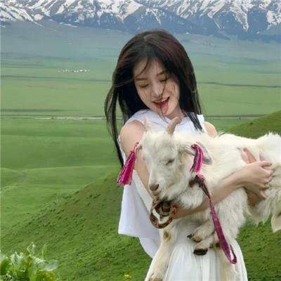 假元首秘纪